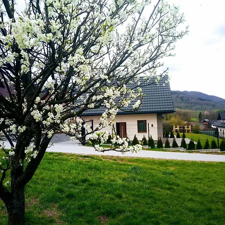 Zielone Zacisze